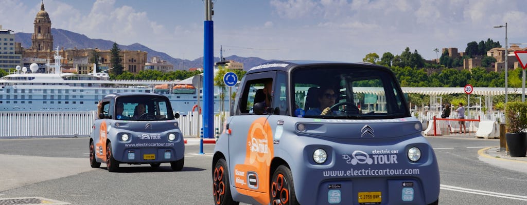 Tour privato di Malaga con un'auto elettrica