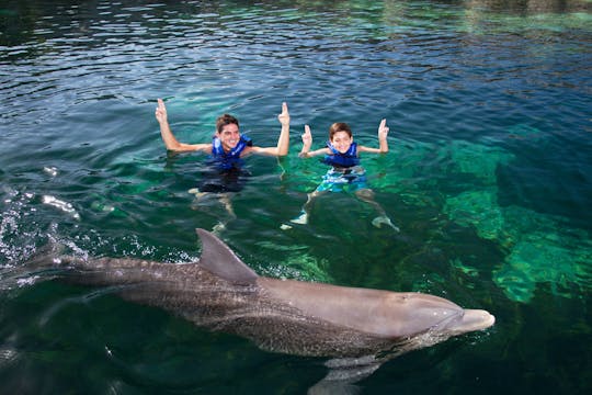 Nado con delfines en la Riviera Maya y snorkel en la laguna Yal kú por Delphinus