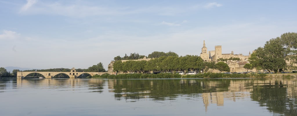 Visite guidée d'une journée d'Avignon et du Luberon