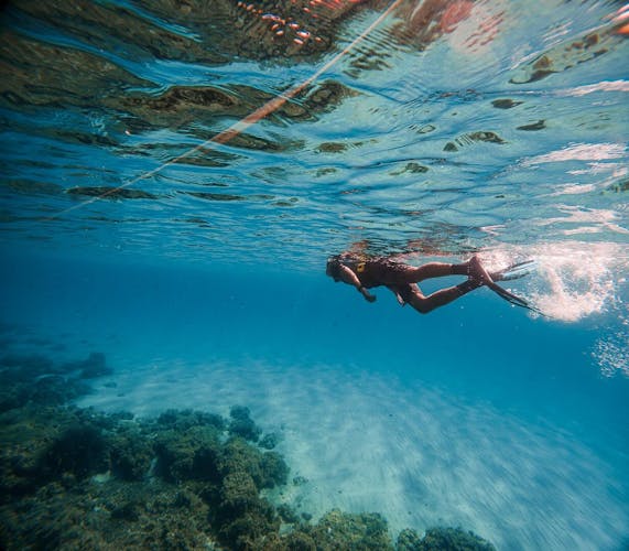 Majorca Guided Snorkelling Tour