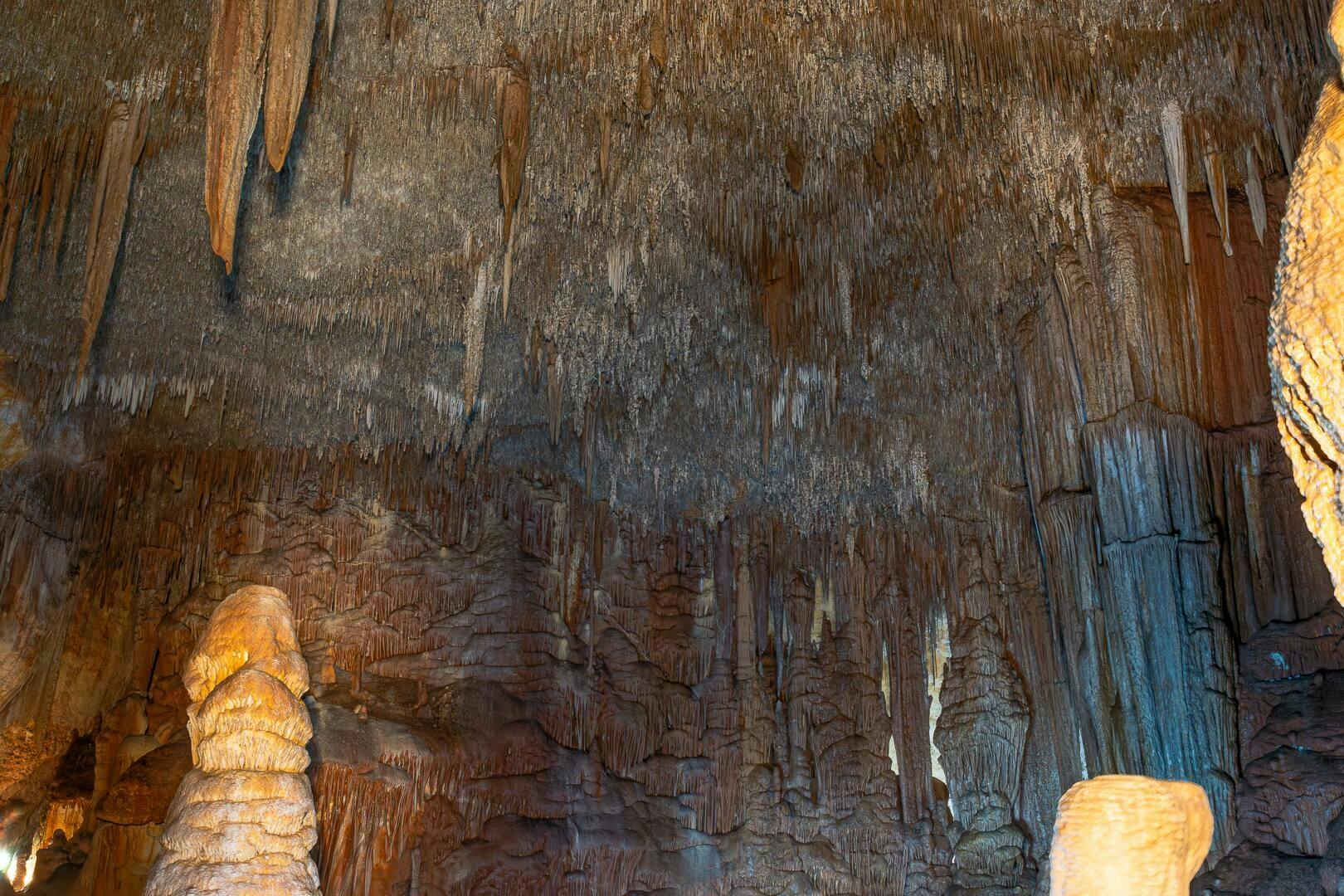 Cova dels Coloms Sea Caves Guided Tour