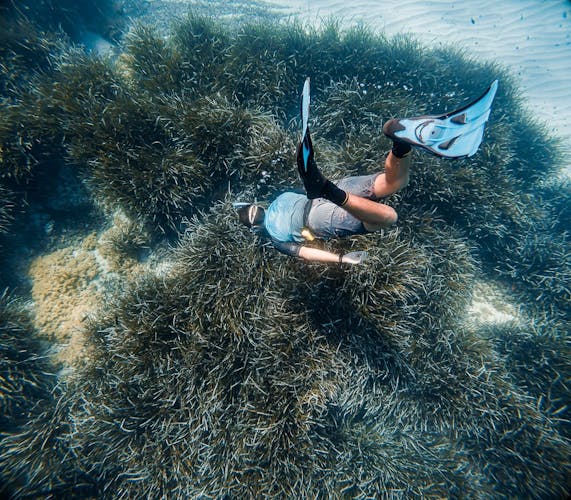 Majorca Guided Snorkelling Tour