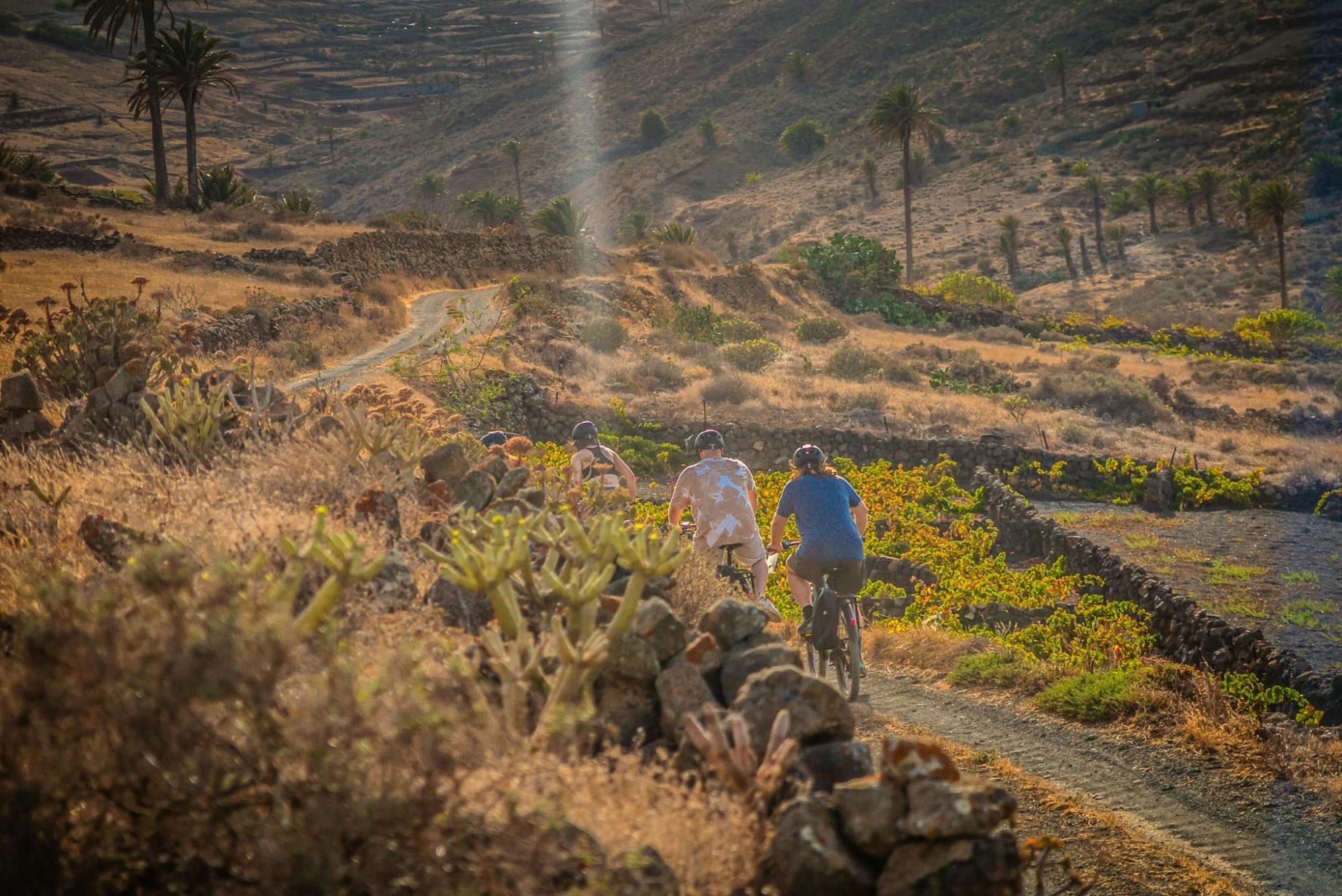 Northern Lanzarote Hike & Bike Tour