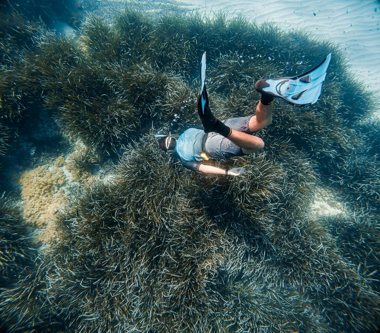 Majorca Guided Snorkelling Tour