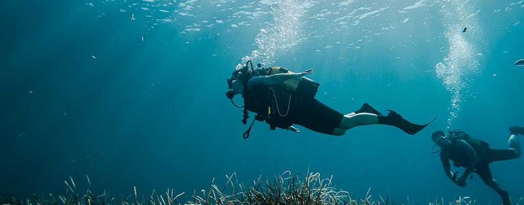 Odkryj kursy nurkowania na Majorce