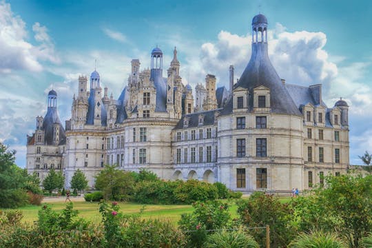 Tour privato dei castelli Cheverny e Chambord con degustazione di vini