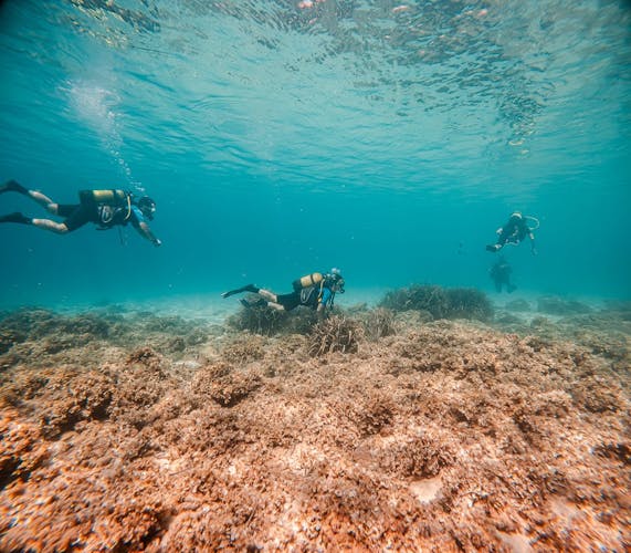Discover Scuba Diving Courses in Majorca