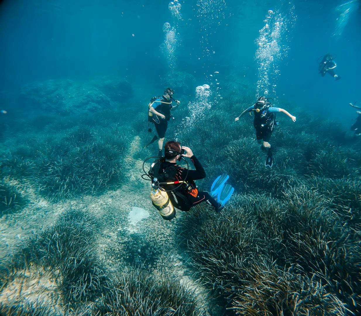 Discover Scuba Diving Courses in Majorca