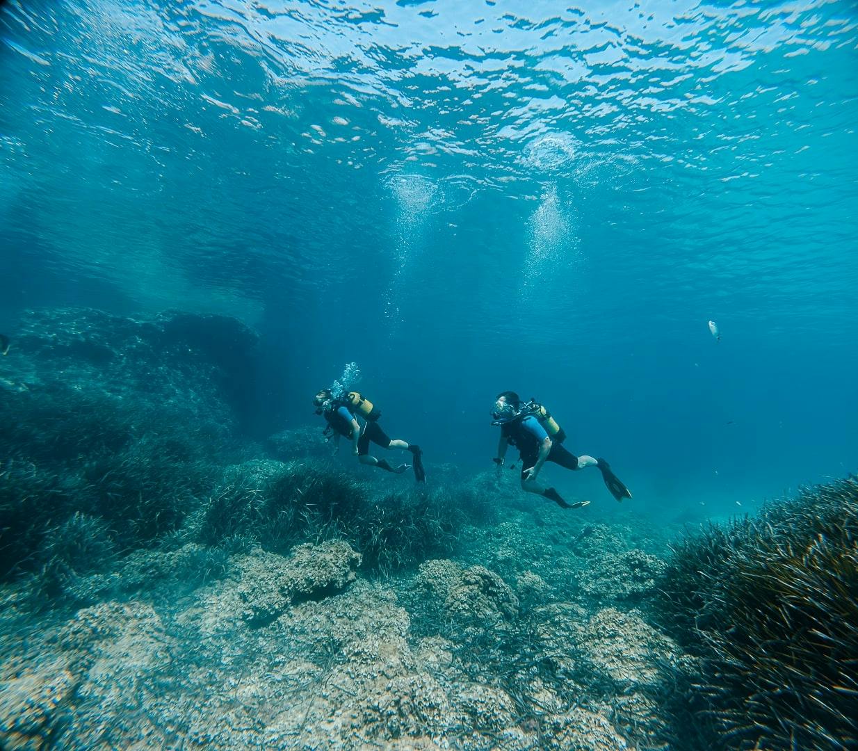 Discover Scuba Diving Courses in Majorca