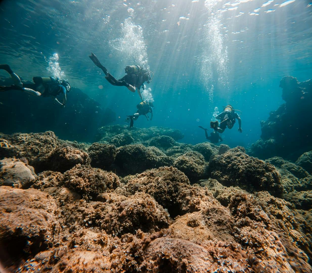 Discover Scuba Diving Courses in Majorca