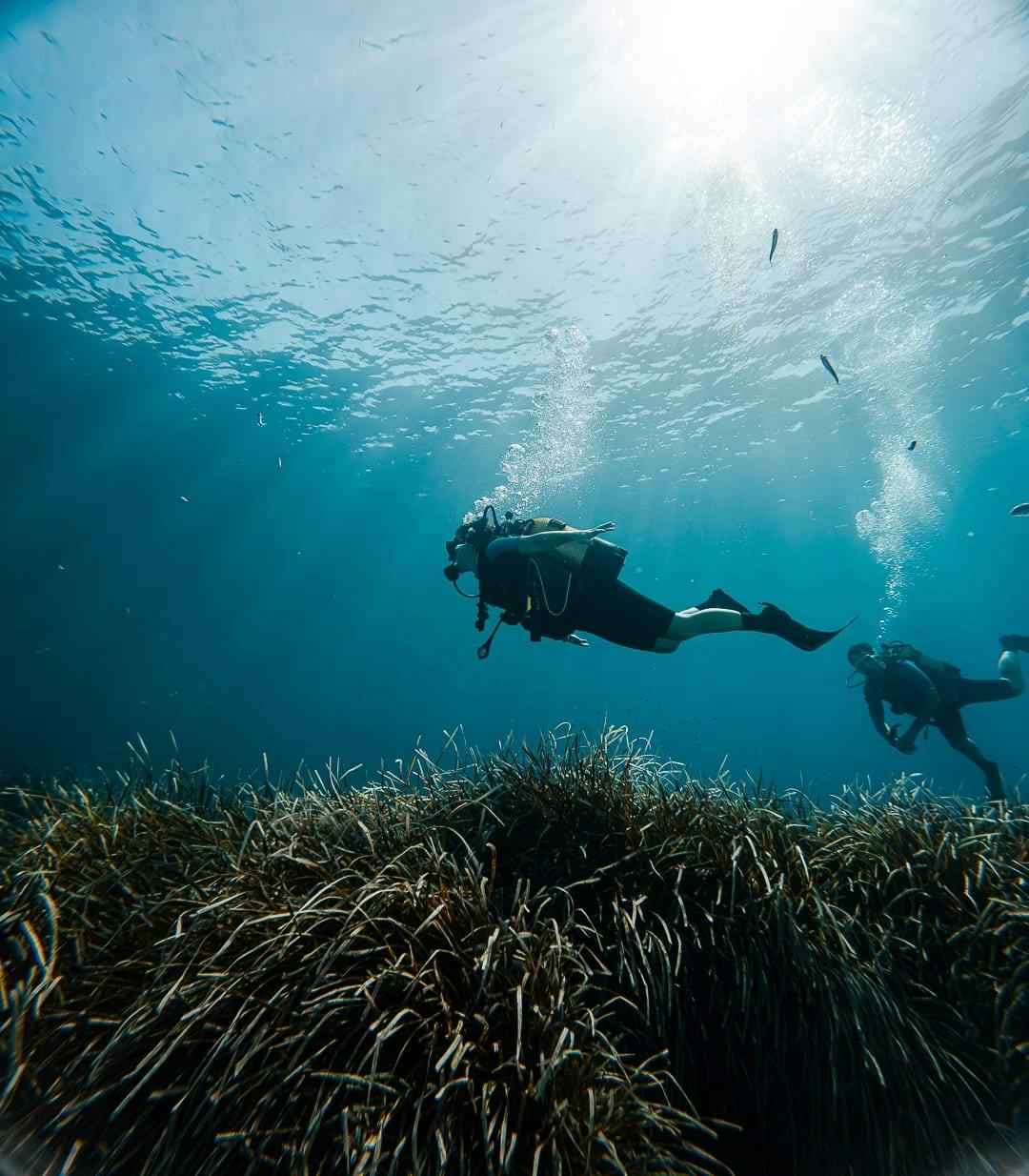 Cours de découverte de la plongée sous-marine à Majorque