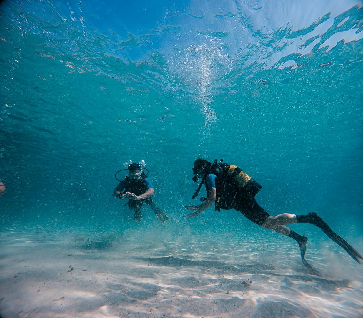 Discover Scuba Diving Courses in Majorca