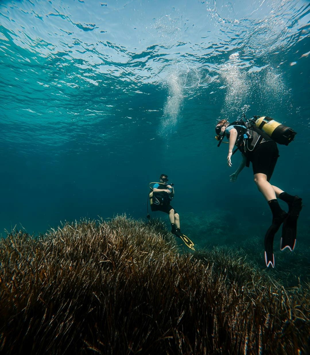 Discover Scuba Diving Courses in Majorca