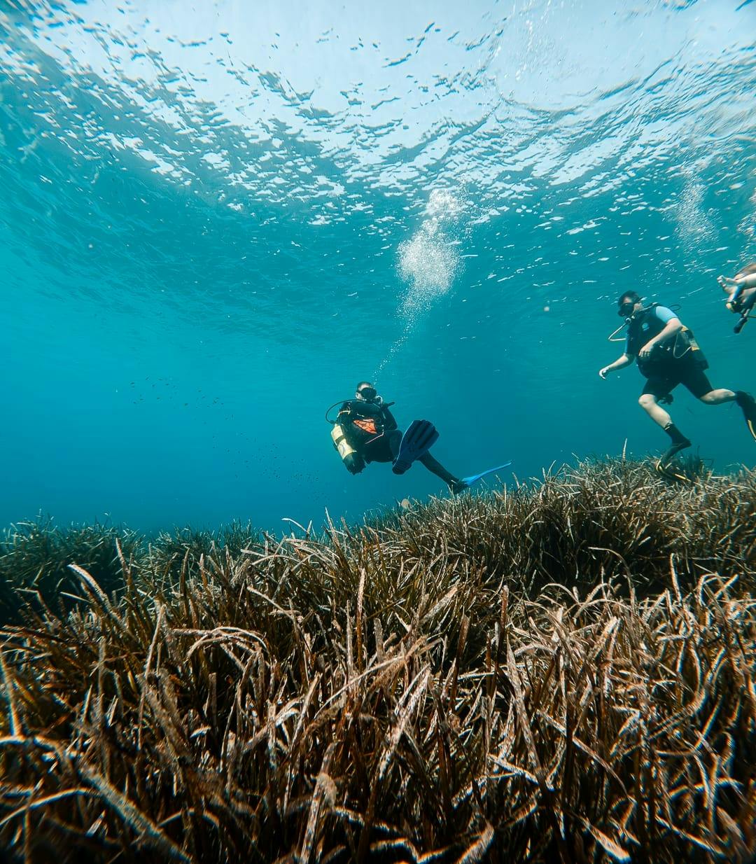 Discover Scuba Diving Courses in Majorca