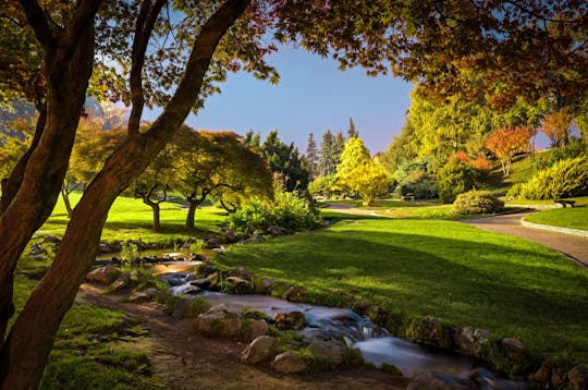 Guided Walking tour of Valentino Park and the Monumental Trees