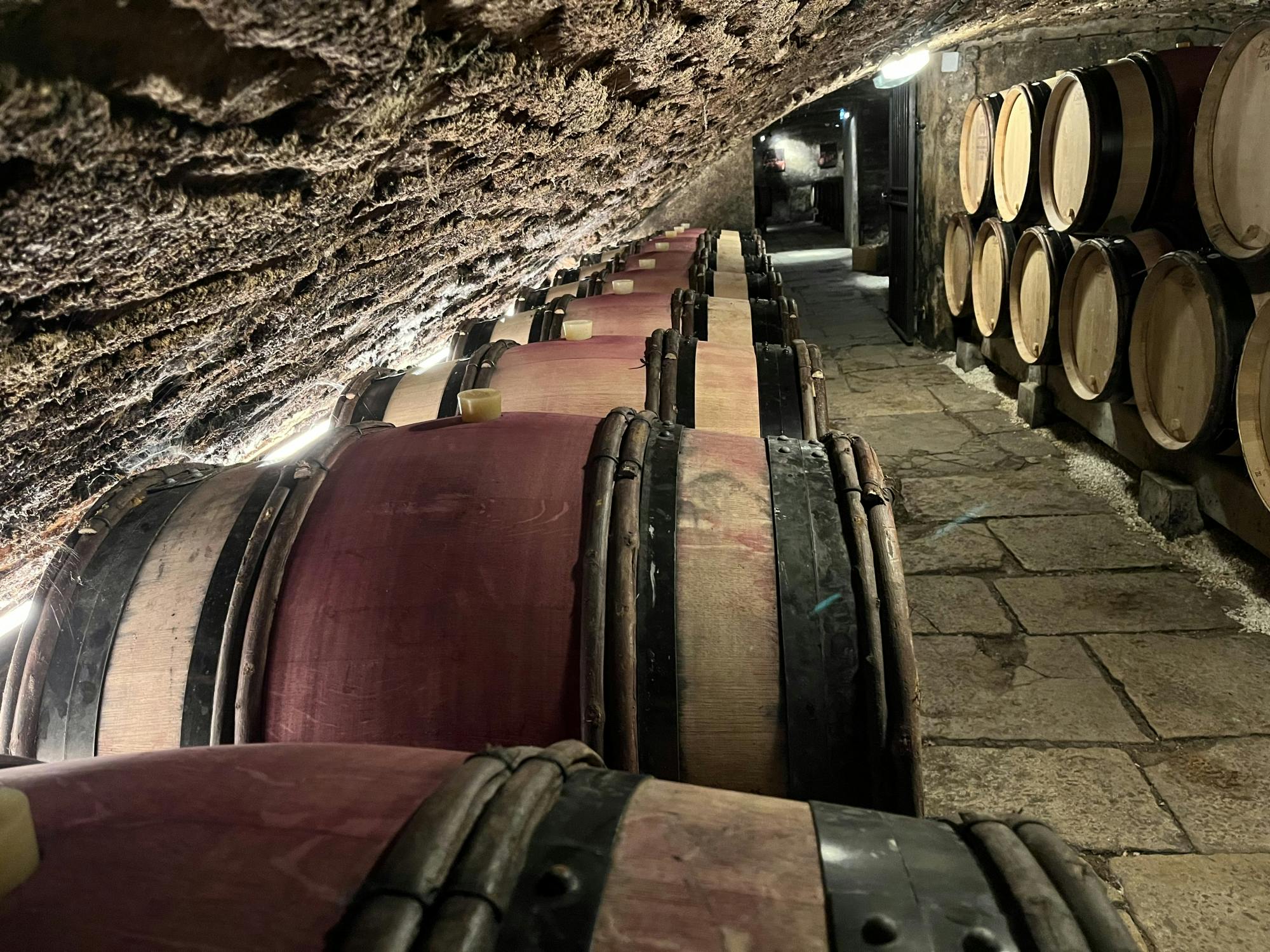 Zamek Clos de Vougeot i lokalne winiarnie w Burgundii Prywatna wycieczka