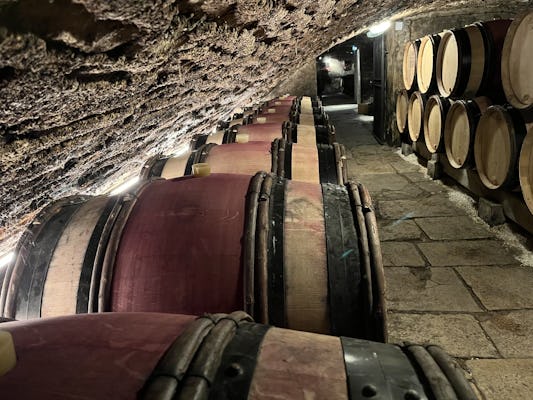 Chateau de Clos de Vougeot e vinícolas locais na Borgonha Private Tour