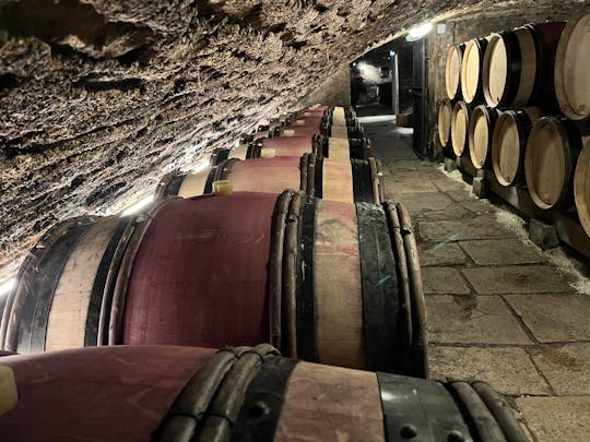 Kasteel van Clos de Vougeot en lokale wijnhuizen in de Bourgogne Privérondleiding