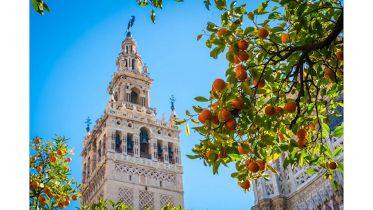 Seville Cathedral skip-the-line tickets and guided tour