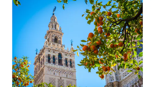 Ingressos sem filas para a Catedral de Sevilha e visita guiada