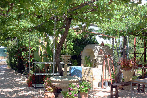 Caledonia Waterfalls Tour with Lunch