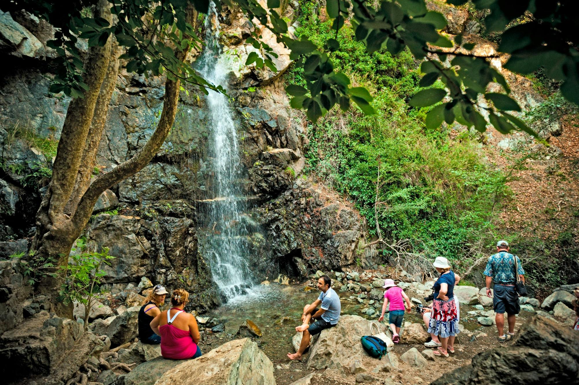 Caledonia Waterfalls Tour with Lunch