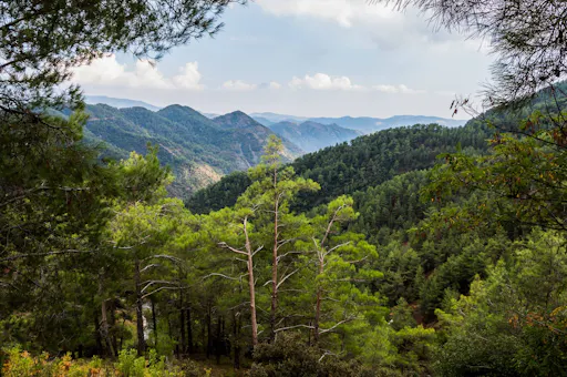 Caledonia Waterfalls Tour with Lunch