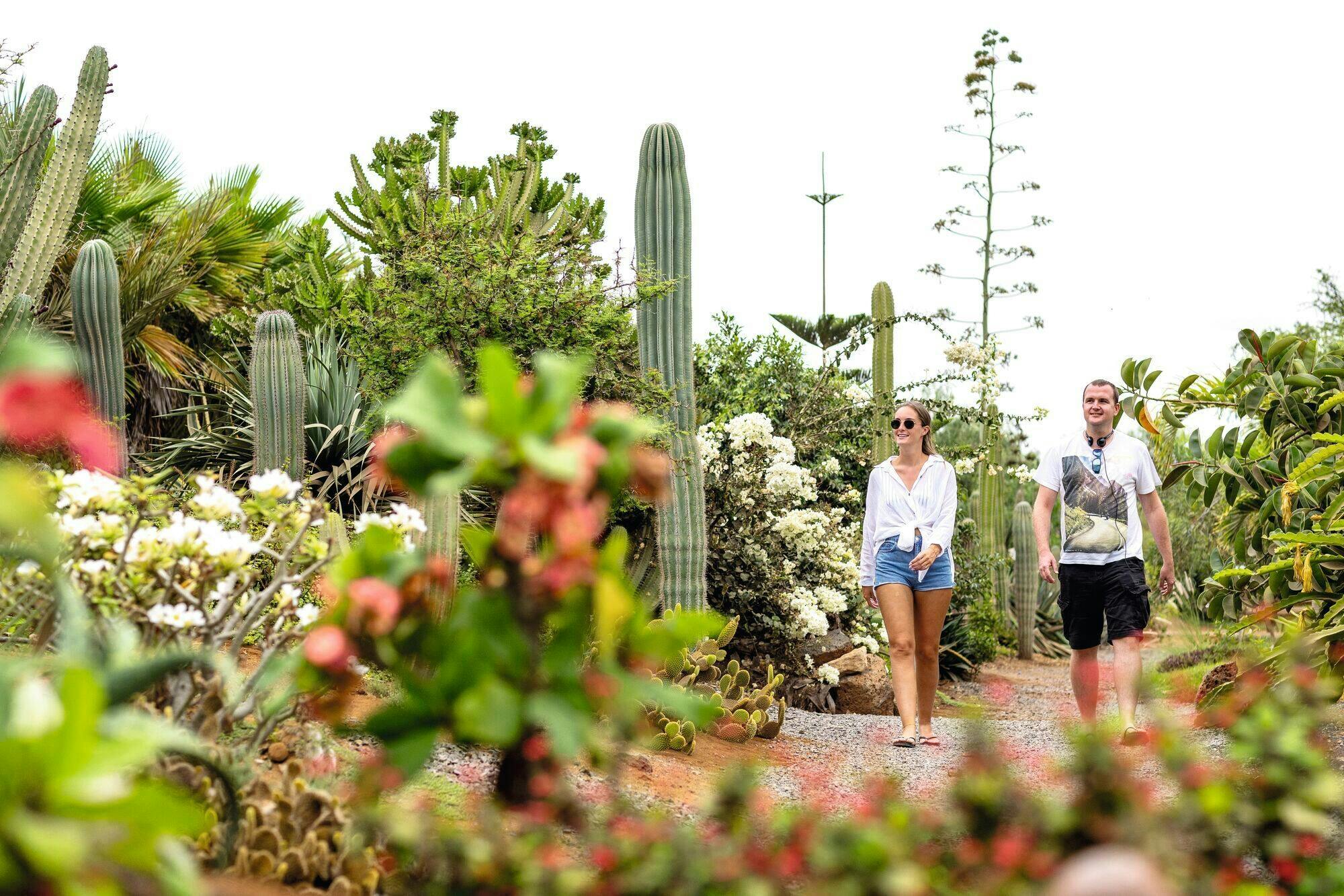 Adults Only Tour of Sal with Lobster Lunch and Salt Lake