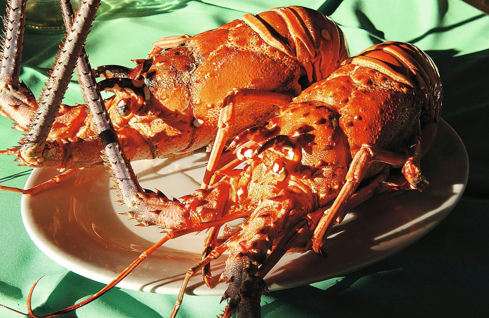 Adults Only Tour of Sal with Lobster Lunch and Salt Lake