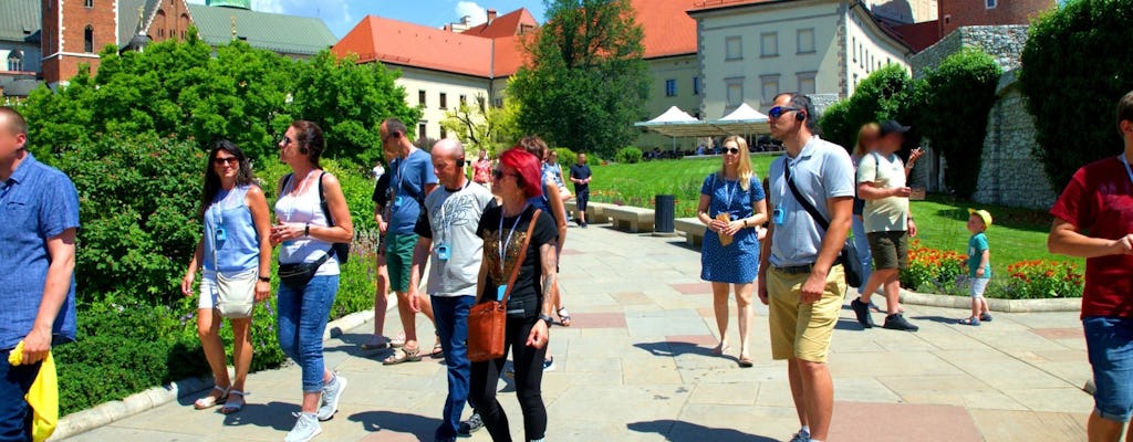 Tour guidato in inglese ai punti salienti del castello di Wawel