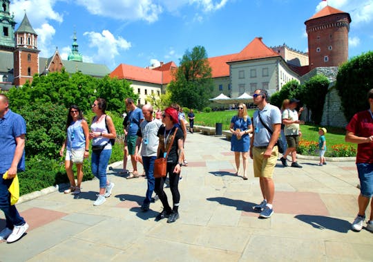 Visita guiada em inglês aos destaques do Castelo Wawel