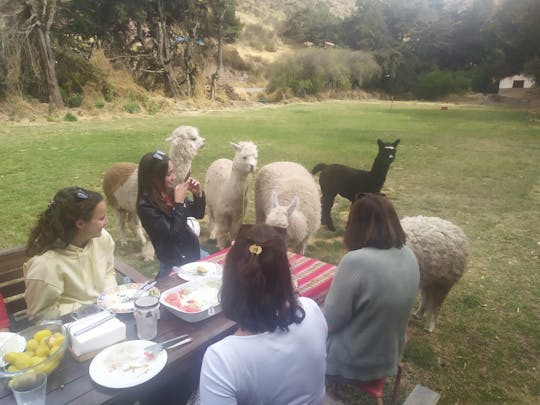 Sabores y Tradiciones del Perú con una Familia Local en Cuzco