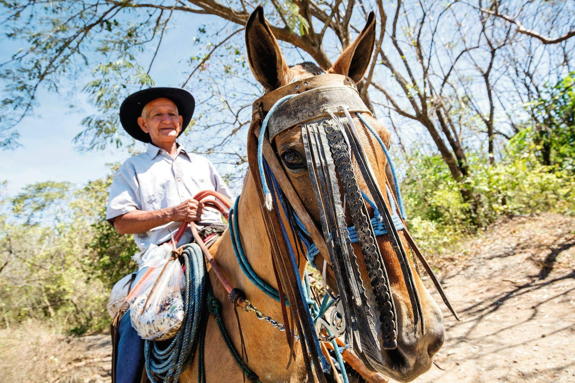 Palo Verde National Park Tour with River Tempisque Cruise