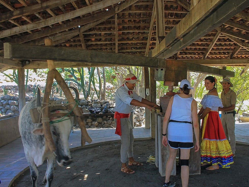 Palo Verde National Park Tour with River Tempisque Cruise