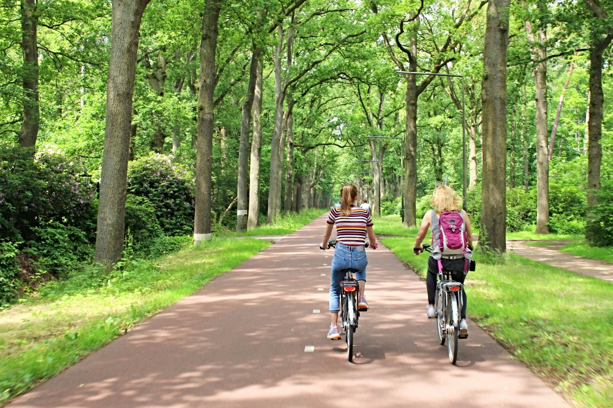Eindhoven podkreśla 2-godzinną wycieczkę rowerową z lokalnym przewodnikiem