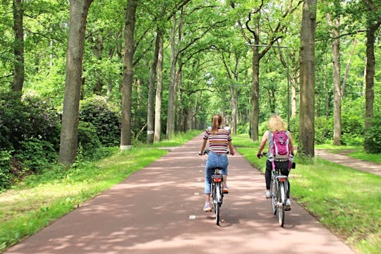 Visite à vélo de 2 heures des points forts d'Eindhoven avec un guide local
