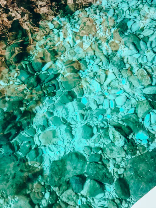 2024021565ce01f1d0545.JPG