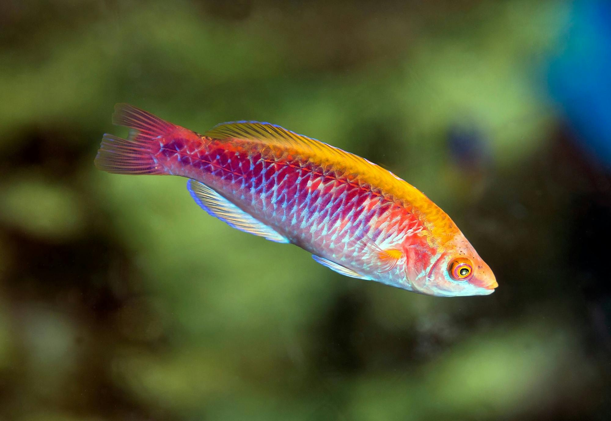 Barcelona Aquarium