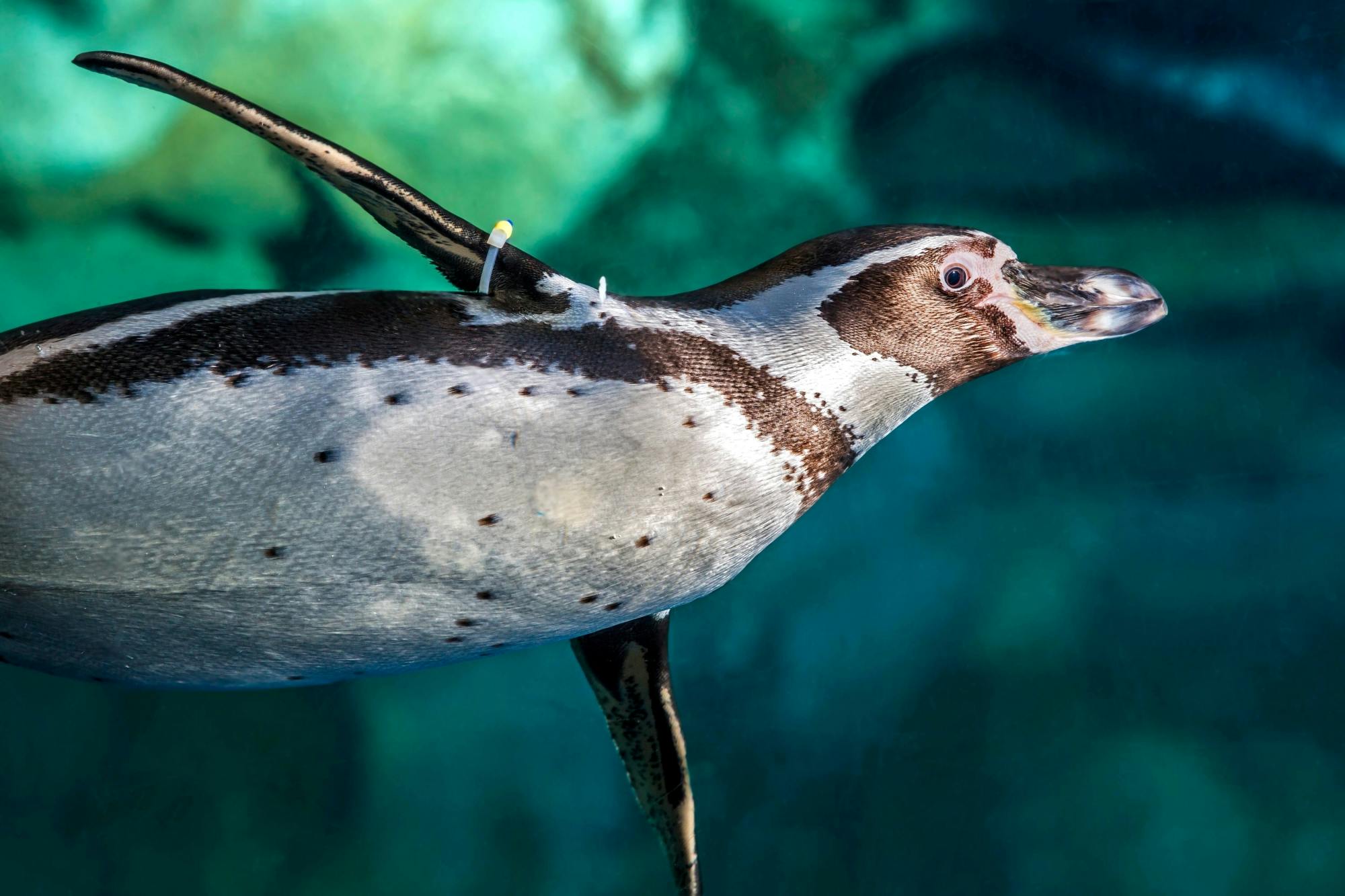 Barcelona Aquarium