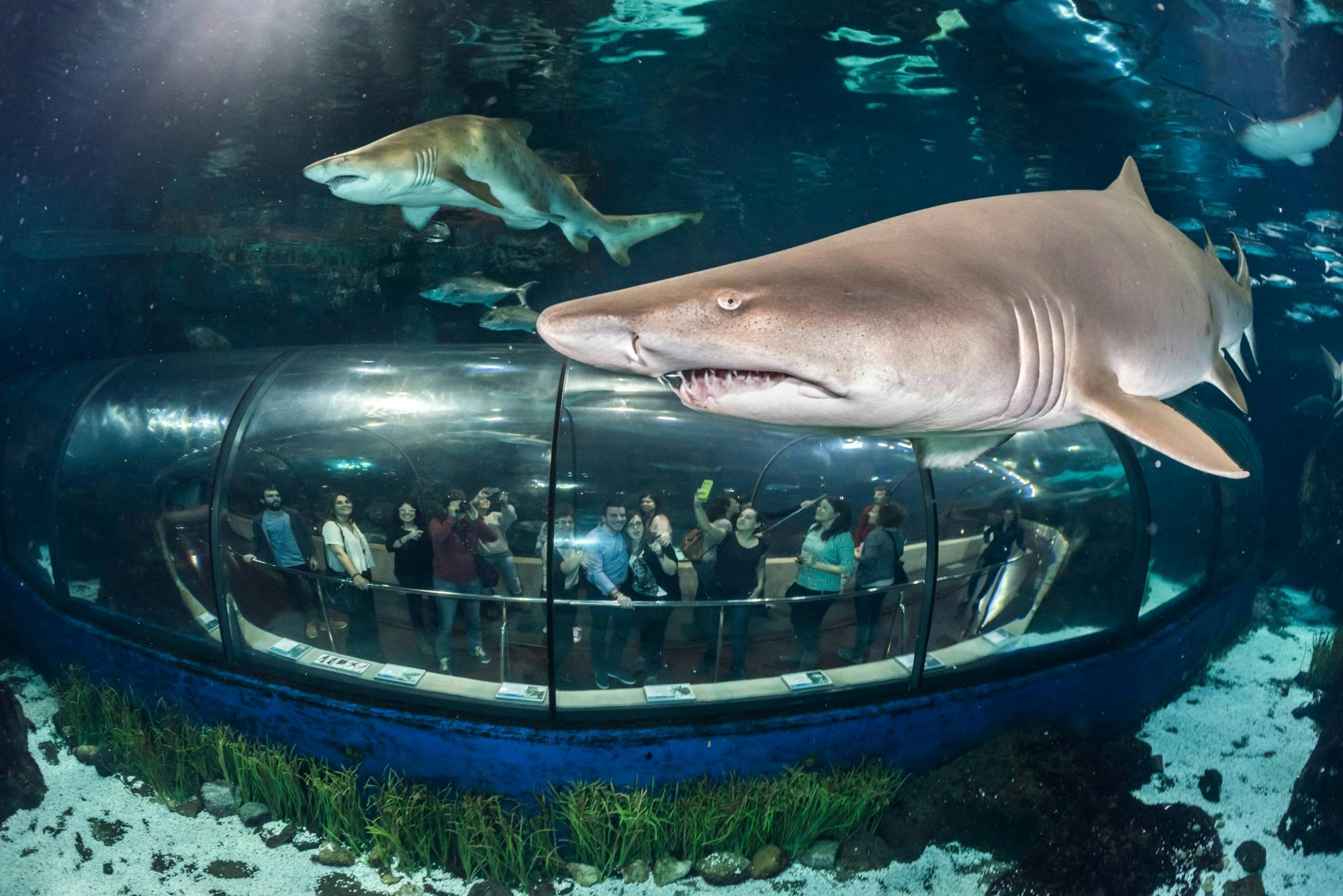 Aquarium de Barcelone