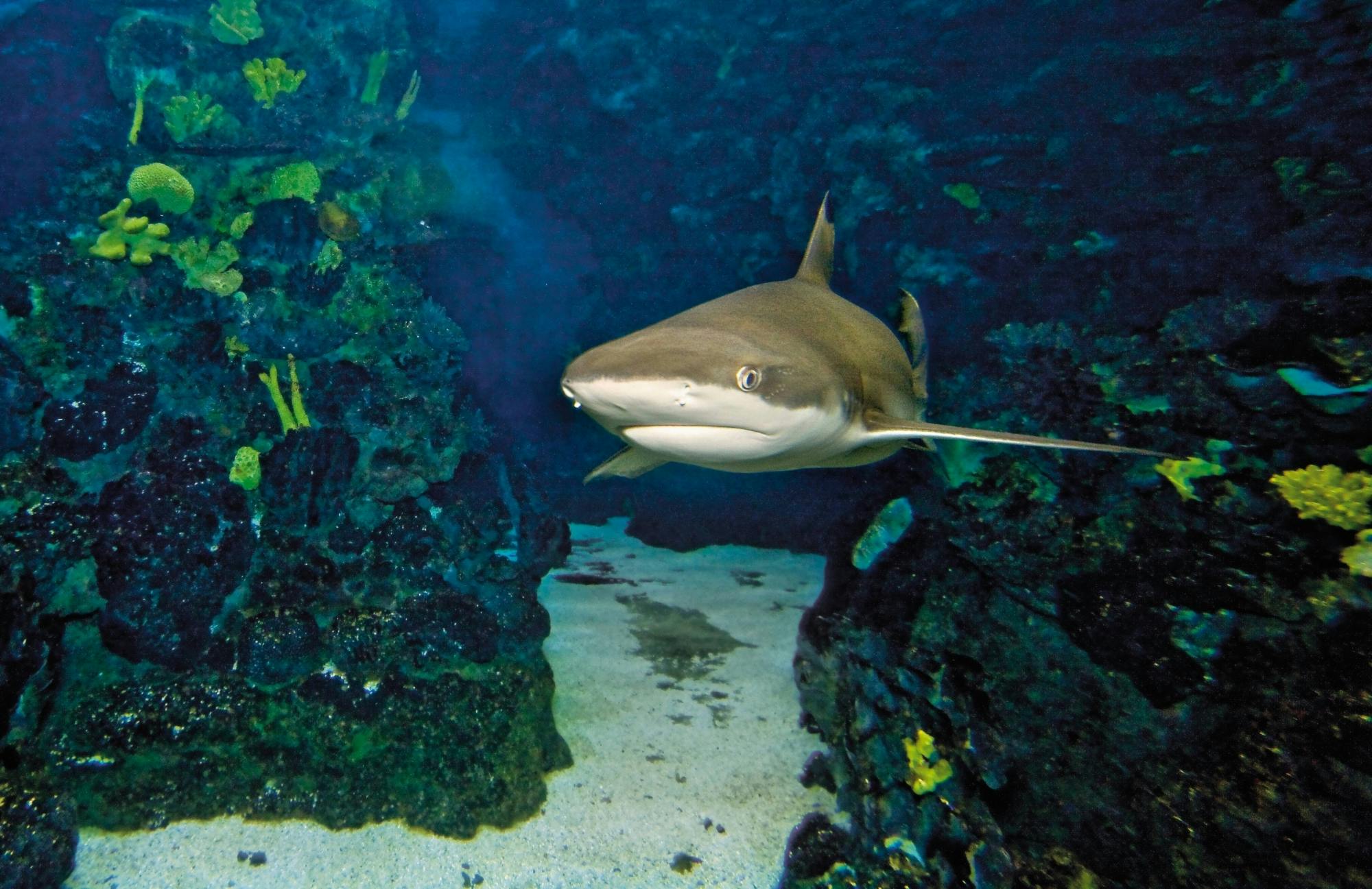 Barcelona Aquarium