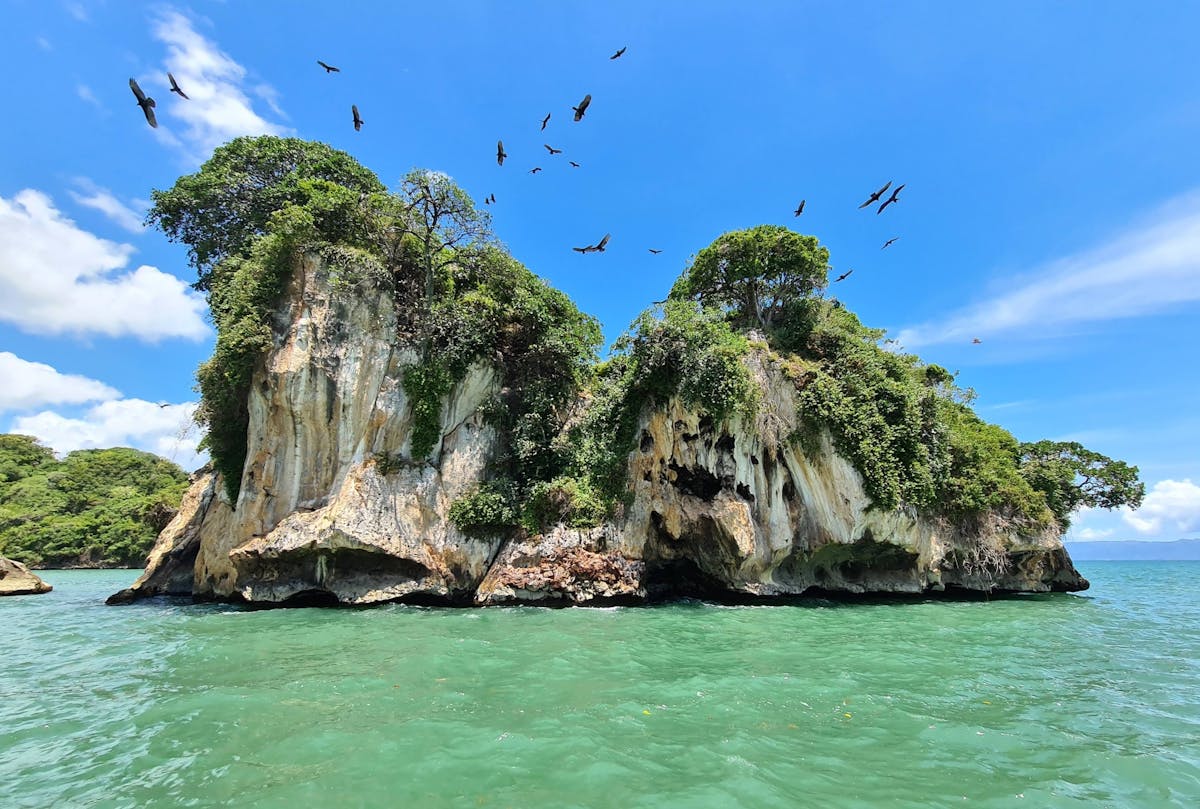 Los Haitises National Park Tour with Beachside Lunch