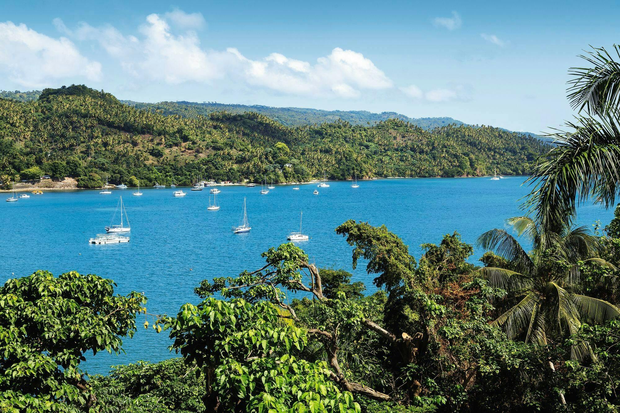 Los Haitises National Park Tour with Beachside Lunch