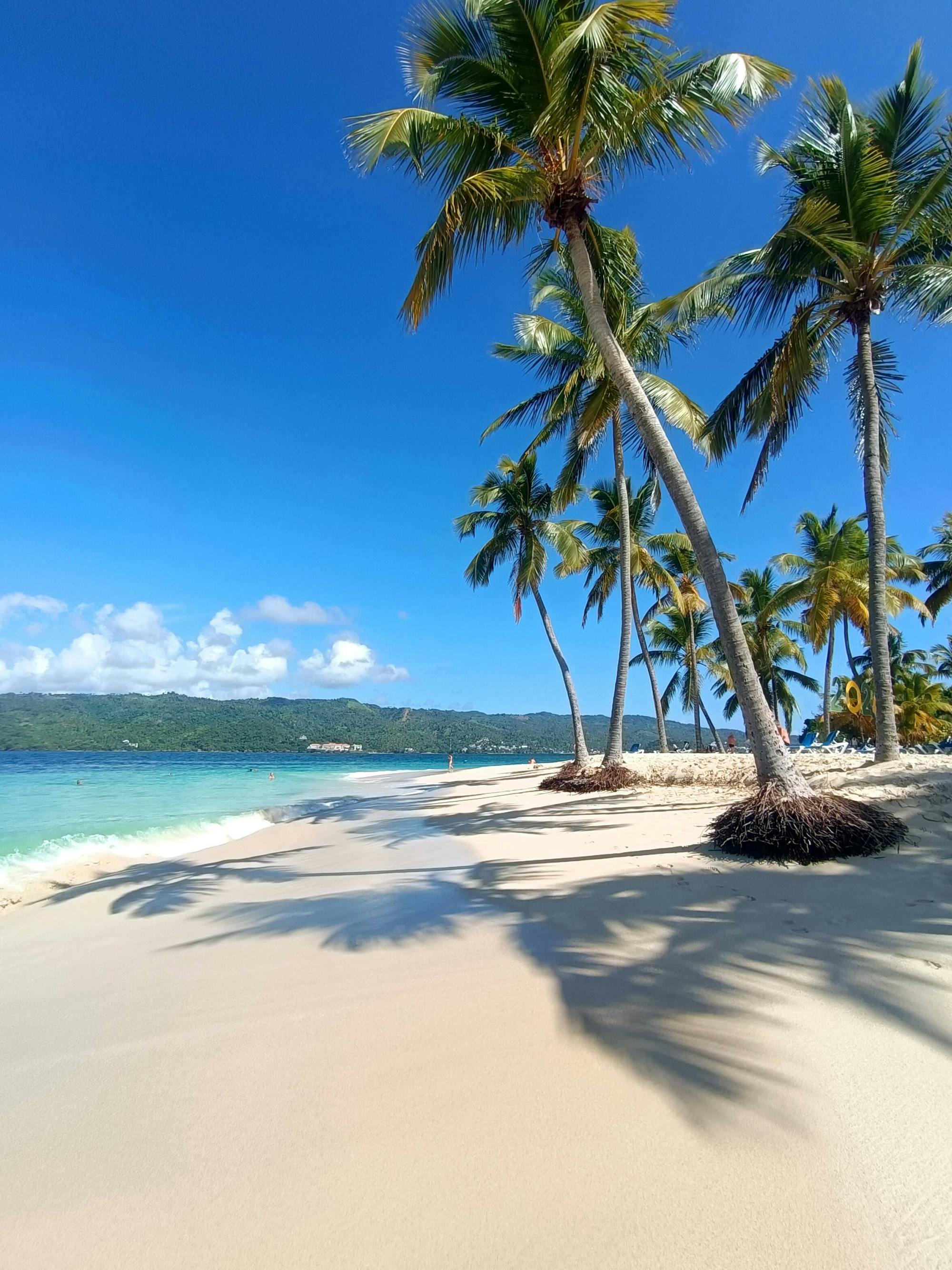 Los Haitises National Park Tour with Beachside Lunch