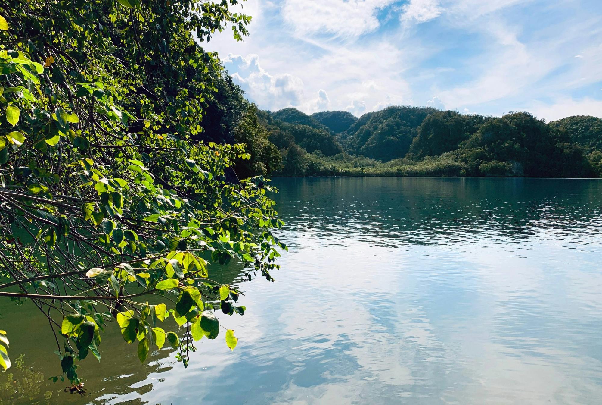 Los Haitises National Park Tour with Beachside Lunch