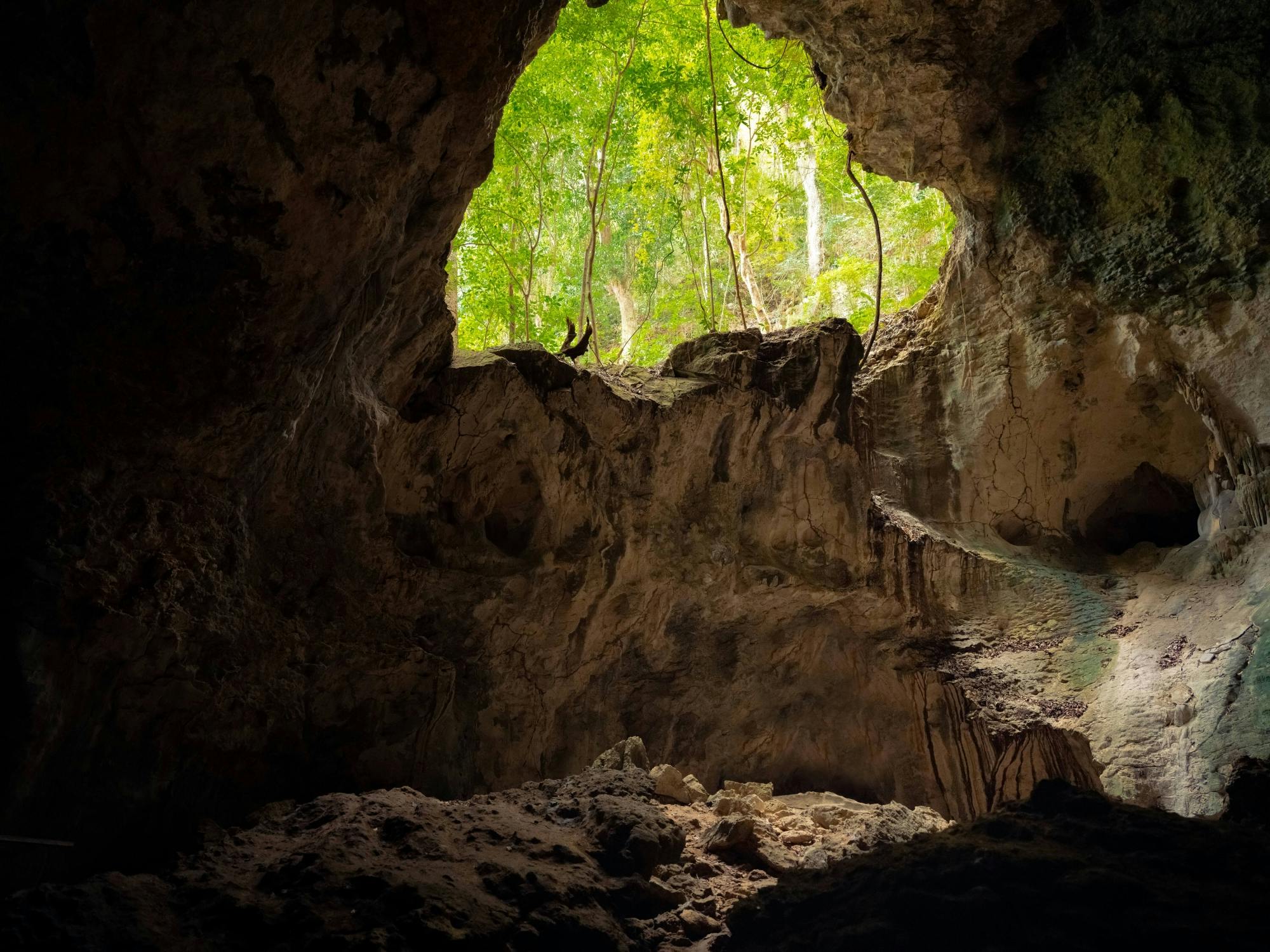 Los Haitises National Park Tour with Beachside Lunch