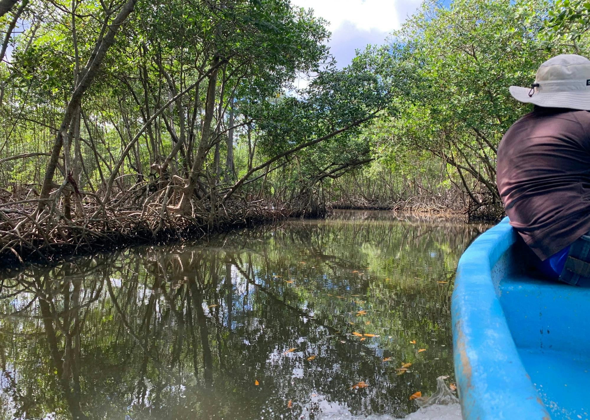 Los Haitises National Park Tour with Beachside Lunch