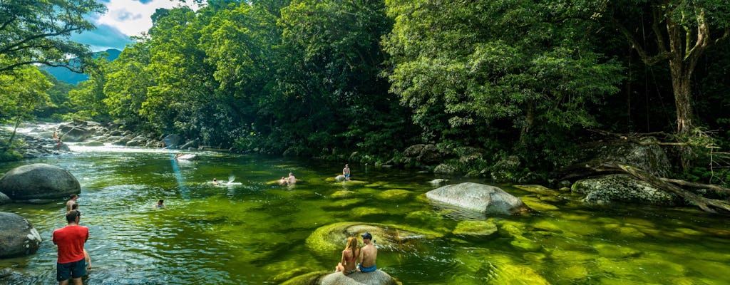 Wildlife, Daintree Rainforest and Mossman Gorge Tour