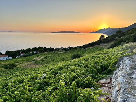 Tour privado de vinho e comida saindo de Dubrovnik