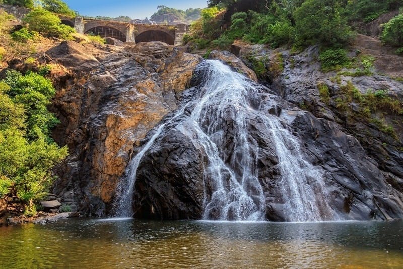 Dudhsagar Waterfall Tour with Spice Garden and Lunch